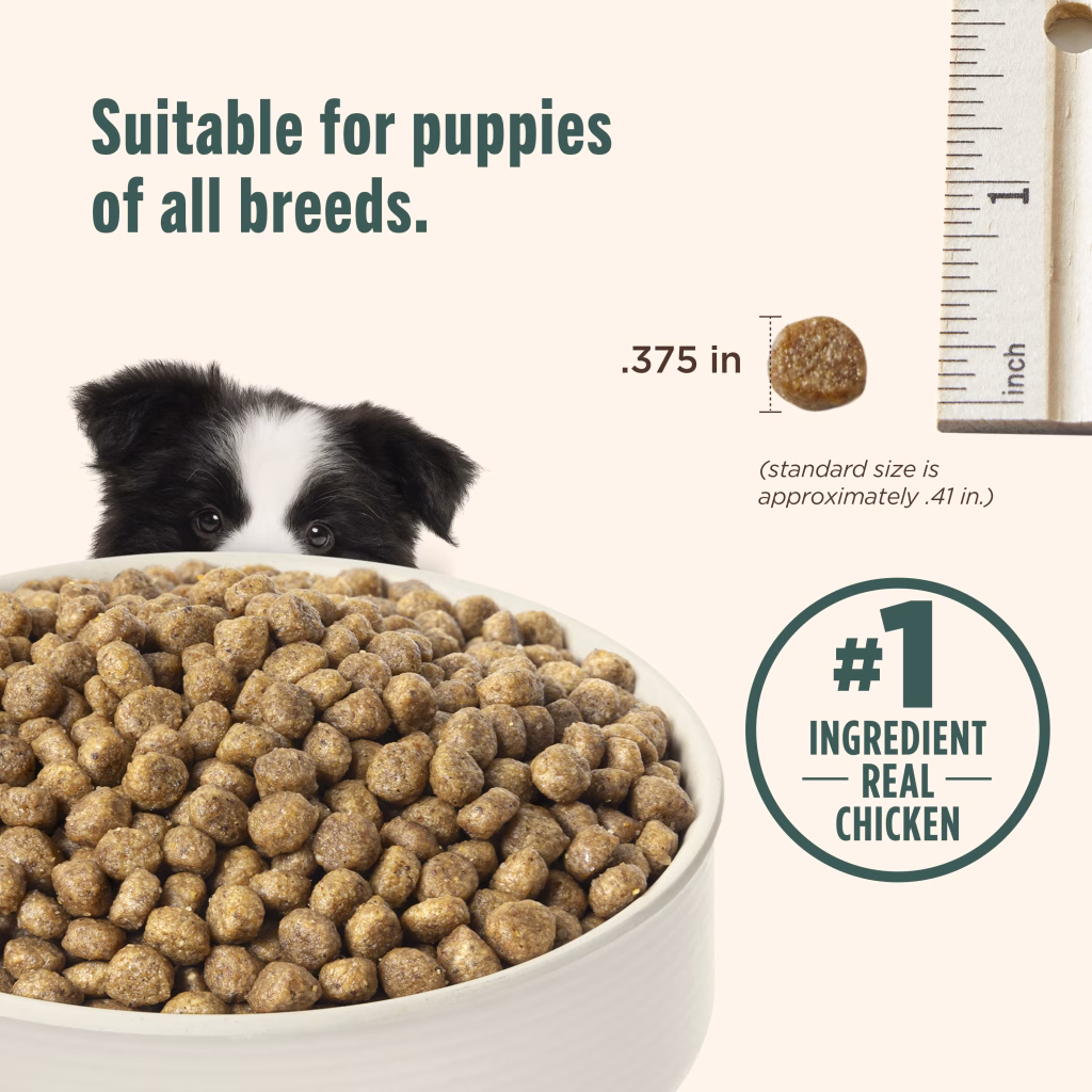 suitable for puppies of all breeds