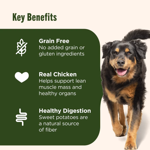 grain free dog food key benefits